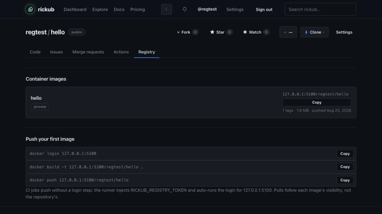 A repository's Registry tab showing the push quick-start and the list of bound images with visibility, tags, size and last push